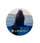 えりちんのお誘い（個別スタンプ：15）