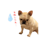 フレブルこたろうさん（個別スタンプ：32）