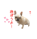 フレブルこたろうさん（個別スタンプ：35）