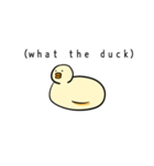 あたしはピザドウっぽいけど明白なアヒル（個別スタンプ：16）