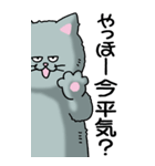 猫大好き！（大）その9（個別スタンプ：1）