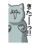 猫大好き！（大）その9（個別スタンプ：6）