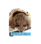 まだかなー（個別スタンプ：1）