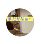 まだかなー（個別スタンプ：3）