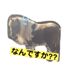 まだかなー（個別スタンプ：8）