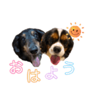 キャバックス❤︎エイト＆ポピー①（個別スタンプ：2）