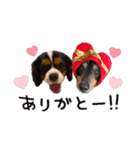 キャバックス❤︎エイト＆ポピー①（個別スタンプ：4）