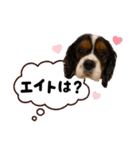 キャバックス❤︎エイト＆ポピー①（個別スタンプ：5）