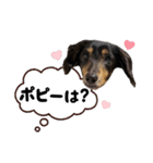 キャバックス❤︎エイト＆ポピー①（個別スタンプ：6）
