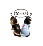 キャバックス❤︎エイト＆ポピー①（個別スタンプ：7）