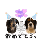 キャバックス❤︎エイト＆ポピー①（個別スタンプ：9）
