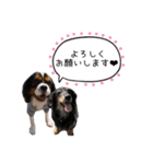 キャバックス❤︎エイト＆ポピー①（個別スタンプ：15）