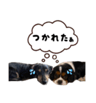 キャバックス❤︎エイト＆ポピー①（個別スタンプ：16）