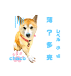 四字熟語のお勉強 レベル  小 ⅶ (最終)（個別スタンプ：2）