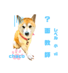四字熟語のお勉強 レベル  小 ⅶ (最終)（個別スタンプ：7）