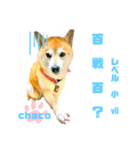四字熟語のお勉強 レベル  小 ⅶ (最終)（個別スタンプ：8）