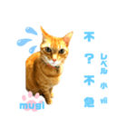 四字熟語のお勉強 レベル  小 ⅶ (最終)（個別スタンプ：14）