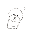 みかんbrothers（個別スタンプ：1）