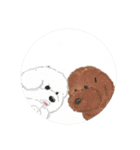 みかんbrothers（個別スタンプ：10）