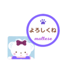 【マルチーズ】のスタンプ（個別スタンプ：3）