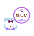 【マルチーズ】のスタンプ（個別スタンプ：4）