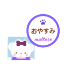 【マルチーズ】のスタンプ（個別スタンプ：8）