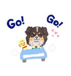 たれ耳チワワあさひくん。（個別スタンプ：32）