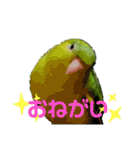 うちの子スタンプ2～サザナミインコ～（個別スタンプ：16）