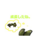 うちの子スタンプ2～サザナミインコ～（個別スタンプ：24）