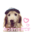 るーるくんだよ（個別スタンプ：4）