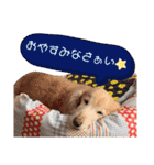 るーるくんだよ（個別スタンプ：5）