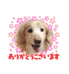 るーるくんだよ（個別スタンプ：6）