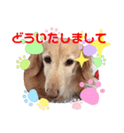るーるくんだよ（個別スタンプ：7）