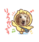 るーるくんだよ（個別スタンプ：9）