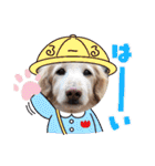 るーるくんだよ（個別スタンプ：10）