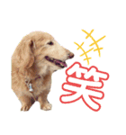 るーるくんだよ（個別スタンプ：18）