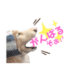 るーるくんだよ（個別スタンプ：31）