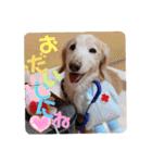 るーるくんだよ（個別スタンプ：32）