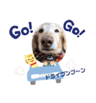 るーるくんだよ（個別スタンプ：33）