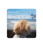るーるくんだよ（個別スタンプ：36）