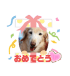 るーるくんだよ（個別スタンプ：40）