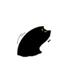 ふしぎなくろねこちゃん(文字なし)（個別スタンプ：5）