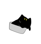 ふしぎなくろねこちゃん(文字なし)（個別スタンプ：19）
