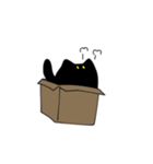 ふしぎなくろねこちゃん(文字なし)（個別スタンプ：40）