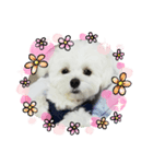 ゆずたん☆（個別スタンプ：3）