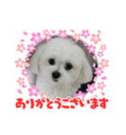 ゆずたん☆（個別スタンプ：6）