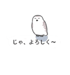 そこそこかわいいシロフクロウのスタンプ（個別スタンプ：24）