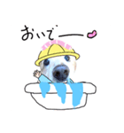 ダックスフンドびーちゃん【5】（個別スタンプ：17）
