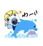 ダックスフンドびーちゃん【5】（個別スタンプ：20）