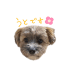 うとです。（個別スタンプ：7）